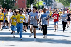227_Schuelerlauf_2026_N_Online_326