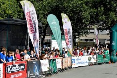 233_Schuelerlauf_2026_N_Online_332
